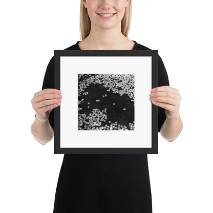 Cherry Blossoms (B&W) Art – Framed Matte Paper Poster, Black Frame, Lifestyle View