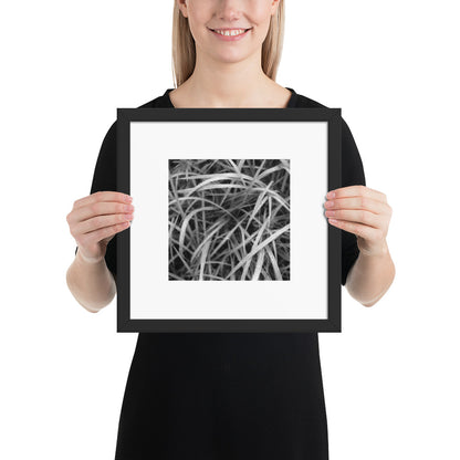 Weeds (B&W) Art – Framed Matte Paper Poster, Black Frame, Front View