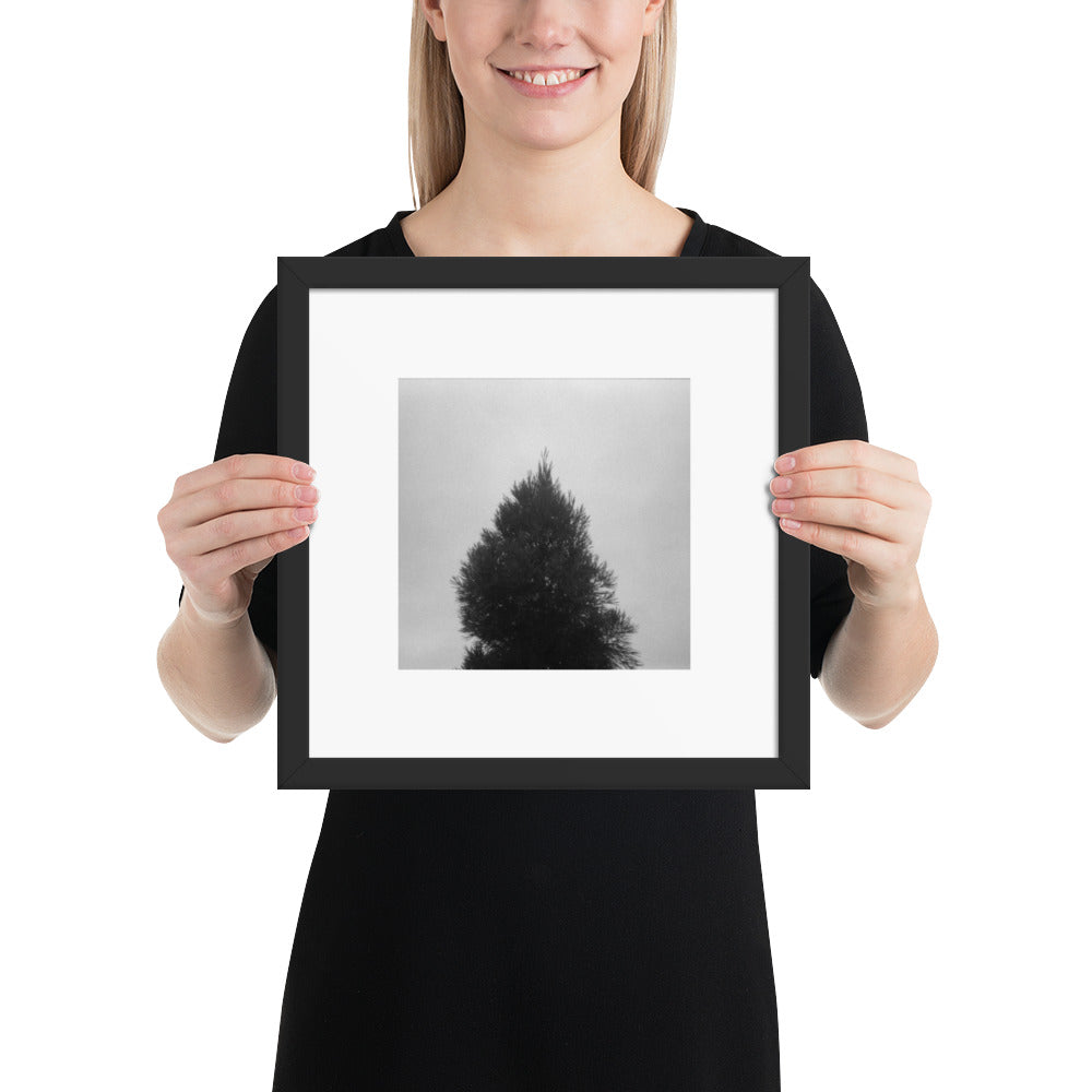 Fog and Trees (B&W) - Framed Matte Paper Poster, Black, Front View