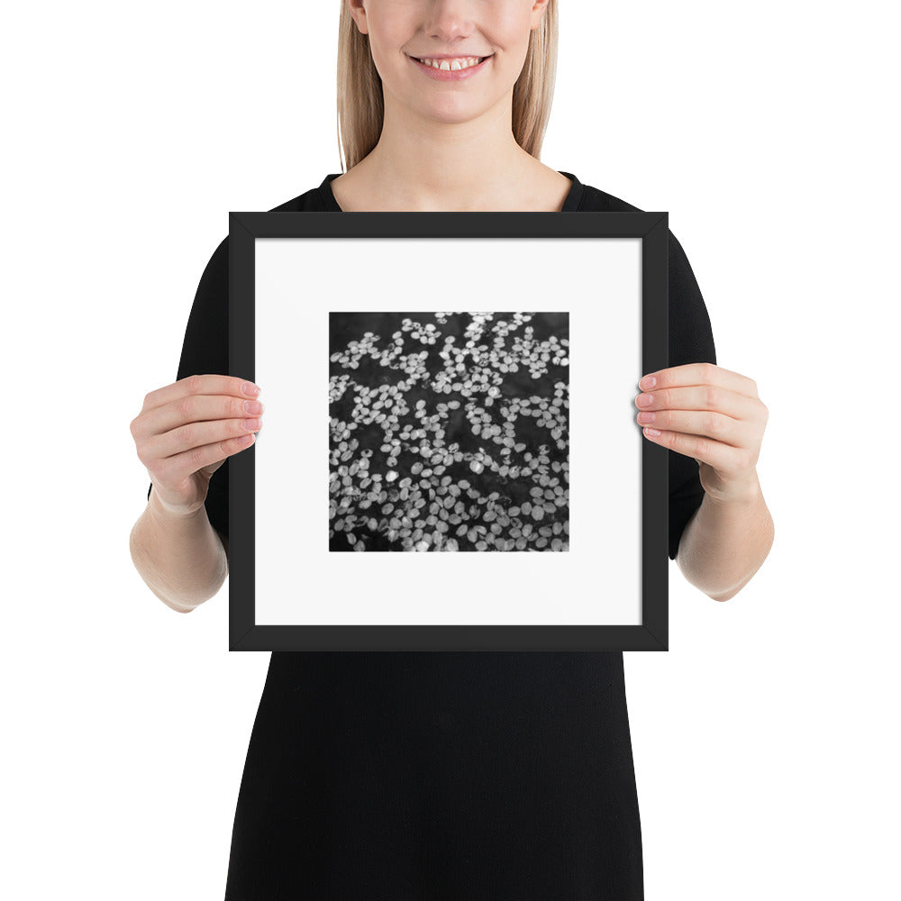 Cherry Blossom Petals in Puddle (B&W) - Unisex Premium Sweatshirt, White