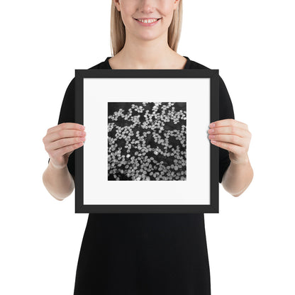 Cherry Blossom Petals in Puddle (B&W) - Unisex Premium Sweatshirt, White