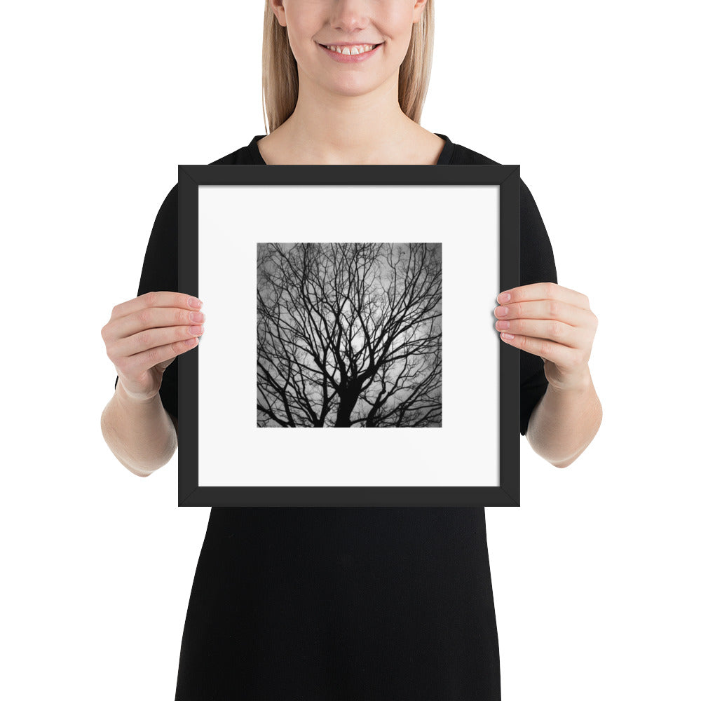Tree B and W Framed Matte Paper Poster Black