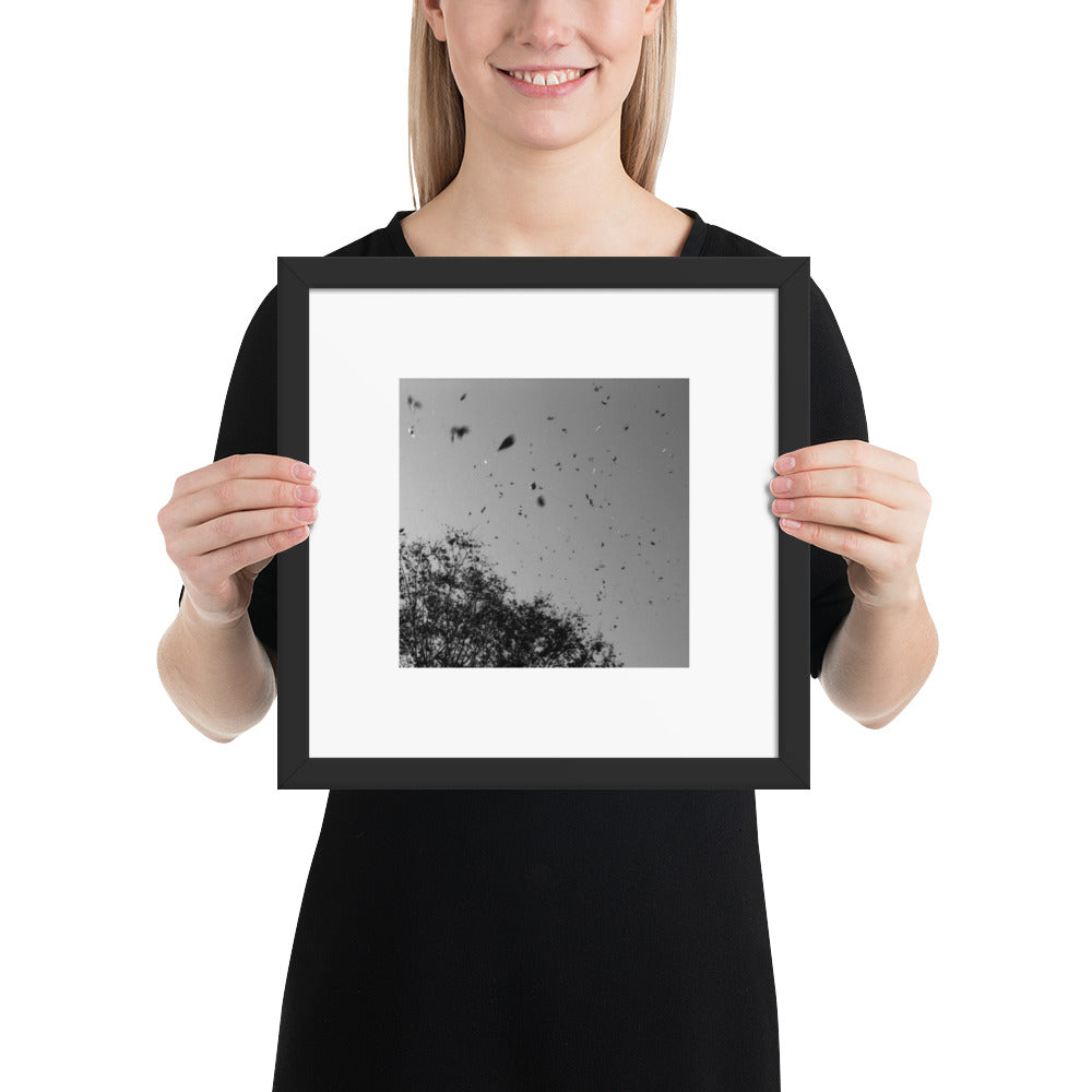 Leaves Dancing in Wind (B&W) - Framed Matte Paper Poster Black