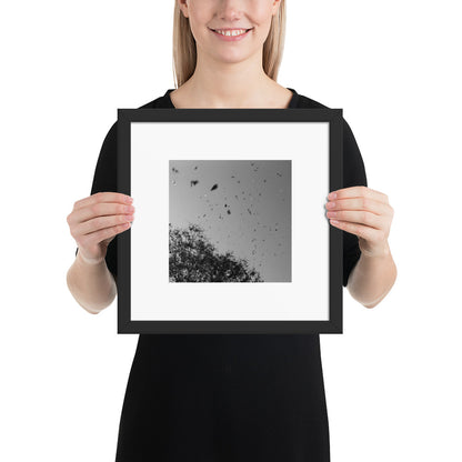 Leaves Dancing in Wind (B&W) - Framed Matte Paper Poster Black