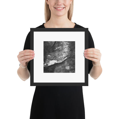 Drifted Leaf (B&W) - Framed Matte Paper Poster Black