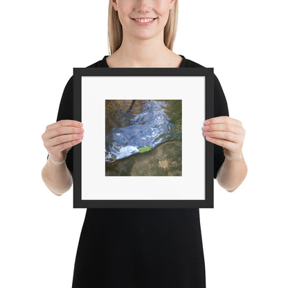 Drifted Leaf - Framed Matte Paper Poster Black