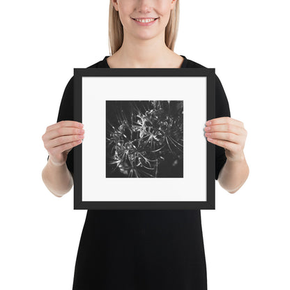 Red Spider Lily (B&W) framed matte paper poster, black frame