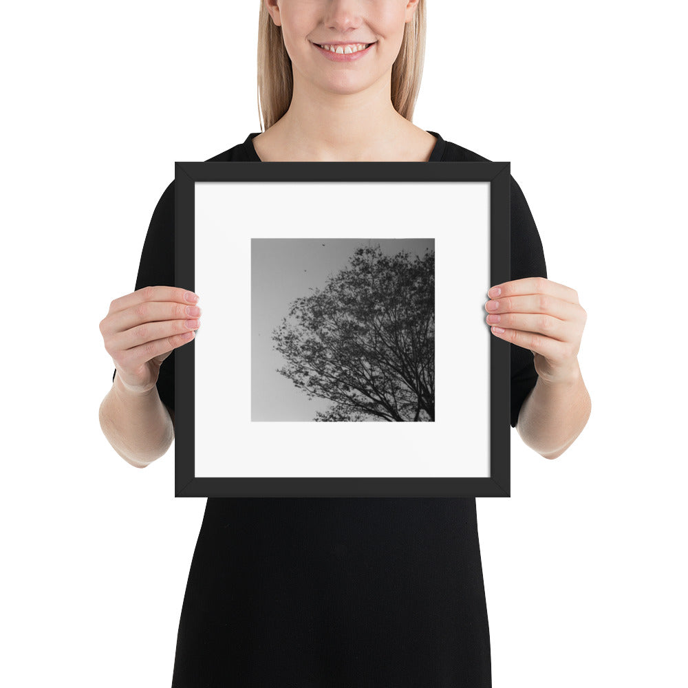 【Black】
Minimalist mode style framed matte paper poster with a 'Tree and Wind' black and white photo print and a black frame / モードストリート系ポスター、「木と風」のモノクロ写真プリント（アートプリント）