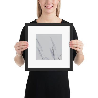 Minimalist mode style framed matte paper poster with a 'Foxtail Grass' print and a black frame / モードストリート系フレーム付きポスター（ブラックフレーム）、「Foxtail Grass（エノコログサ）」のプリント（壁掛けアート）