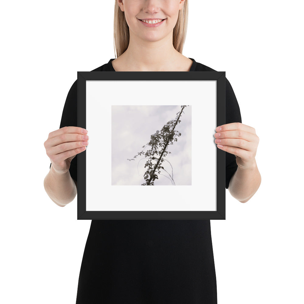 Minimalist mode style framed matte paper poster with a 'Vines Entangled on a Utility Pole' black and white photo print and a black frame / モードストリート系フレーム付きポスター（ブラックフレーム）、「電柱に絡まるツル」のモノクロ写真プリント（壁掛けアート）