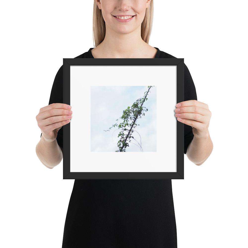 Minimalist mode style framed matte paper poster with a 'Vines Entangled on a Utility Pole' photo print and a black frame / モードストリート系フレーム付きポスター（ブラックフレーム）、「電柱に絡まるツル」の写真プリント（壁掛けアート）