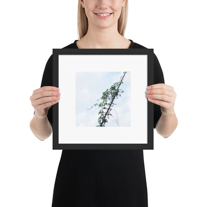 Minimalist mode style framed matte paper poster with a 'Vines Entangled on a Utility Pole' photo print and a black frame / モードストリート系フレーム付きポスター（ブラックフレーム）、「電柱に絡まるツル」の写真プリント（壁掛けアート）
