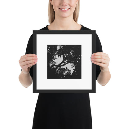 Minimalist mode style postcard featuring a 'Forest' black and white photo print / モードストリート系デザインのポストカード、「Forest（森）」のモノクロ写真プリント（ポストカード）