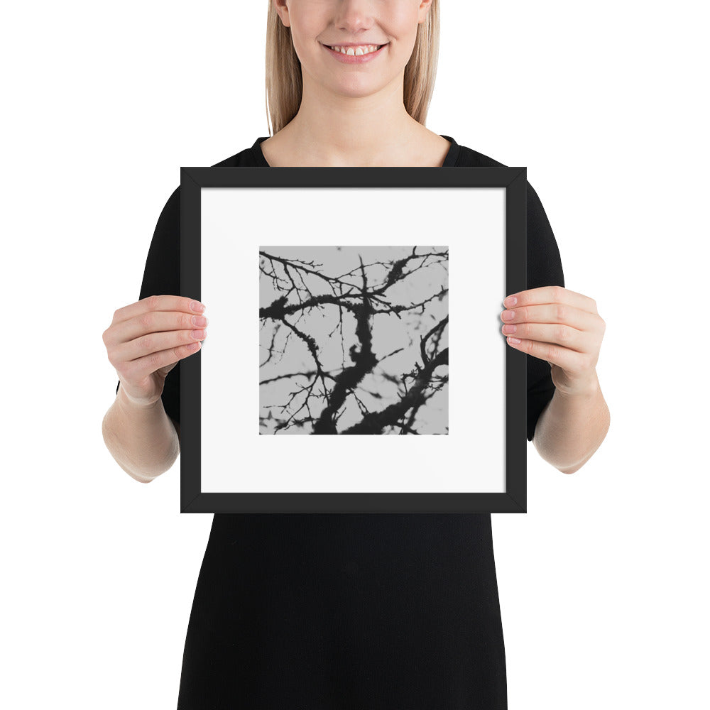 Minimalist mode style framed matte paper poster with a 'Bare Tree' black and white photo print and black frame / モードストリート系フレーム付きマット紙ポスター、「Bare Tree（枯れ木）」のモノクロ写真プリント（ブラックフレーム）
