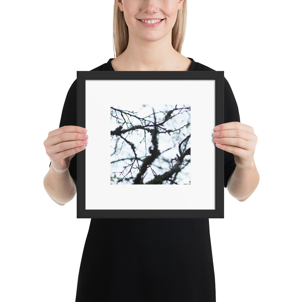 Minimalist mode style framed matte paper poster with a 'Bare Tree' art print and black frame / モードストリート系フレーム付きマット紙ポスター、「Bare Tree（枯れ木）」のアートプリント（ブラックフレーム）