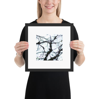 Minimalist mode style framed matte paper poster with a 'Bare Tree' art print and black frame / モードストリート系フレーム付きマット紙ポスター、「Bare Tree（枯れ木）」のアートプリント（ブラックフレーム）