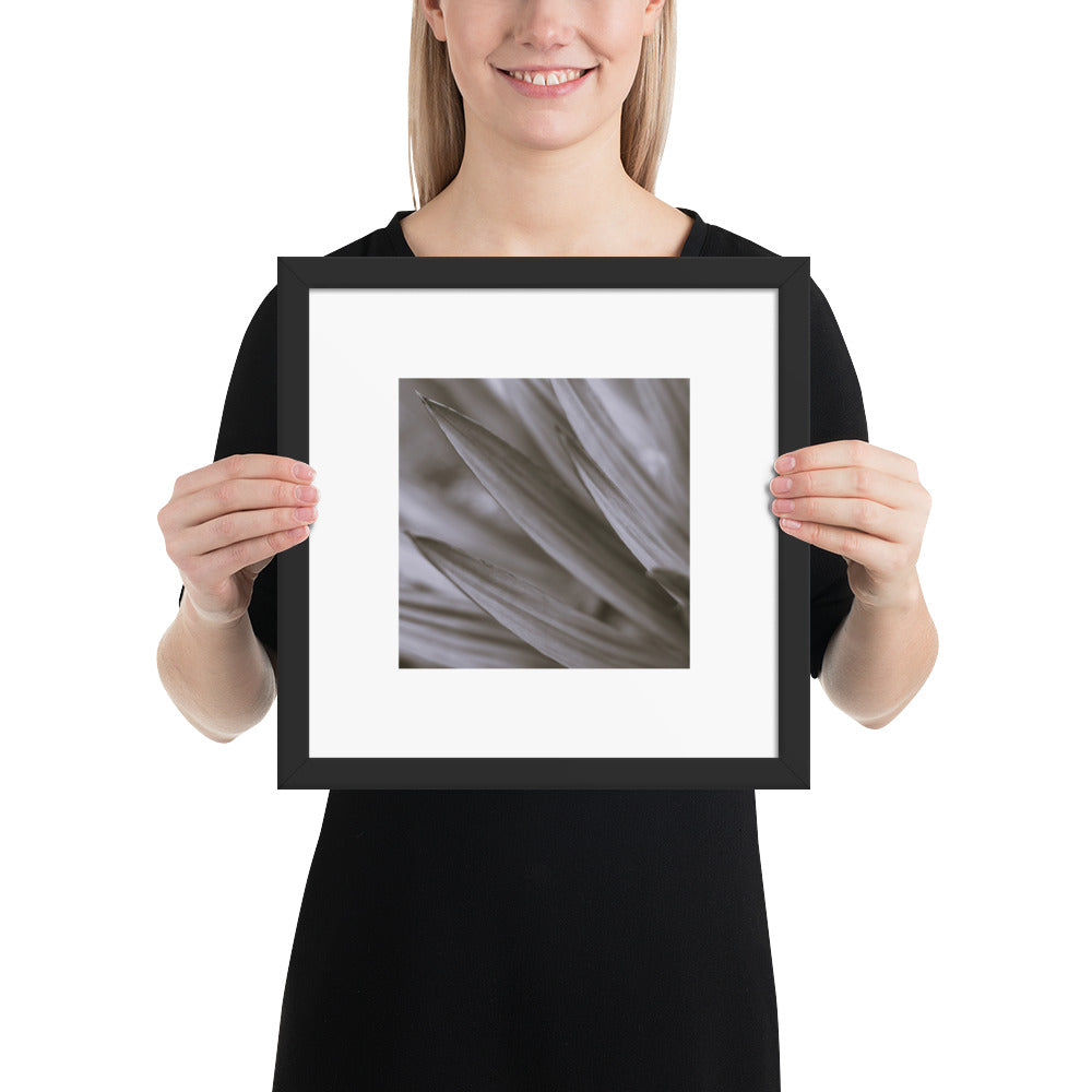 Minimalist style premium wall art featuring a black and white photograph of a Yucca plant, displayed in a sleek matte black frame. A sophisticated piece of botanical home decor, perfect for modern interior design. / モードストリート系インテリアに最適なユッカ植物のモノクロ写真アートポスター。マットブラックフレーム付きのミニマリスト・デザイン。