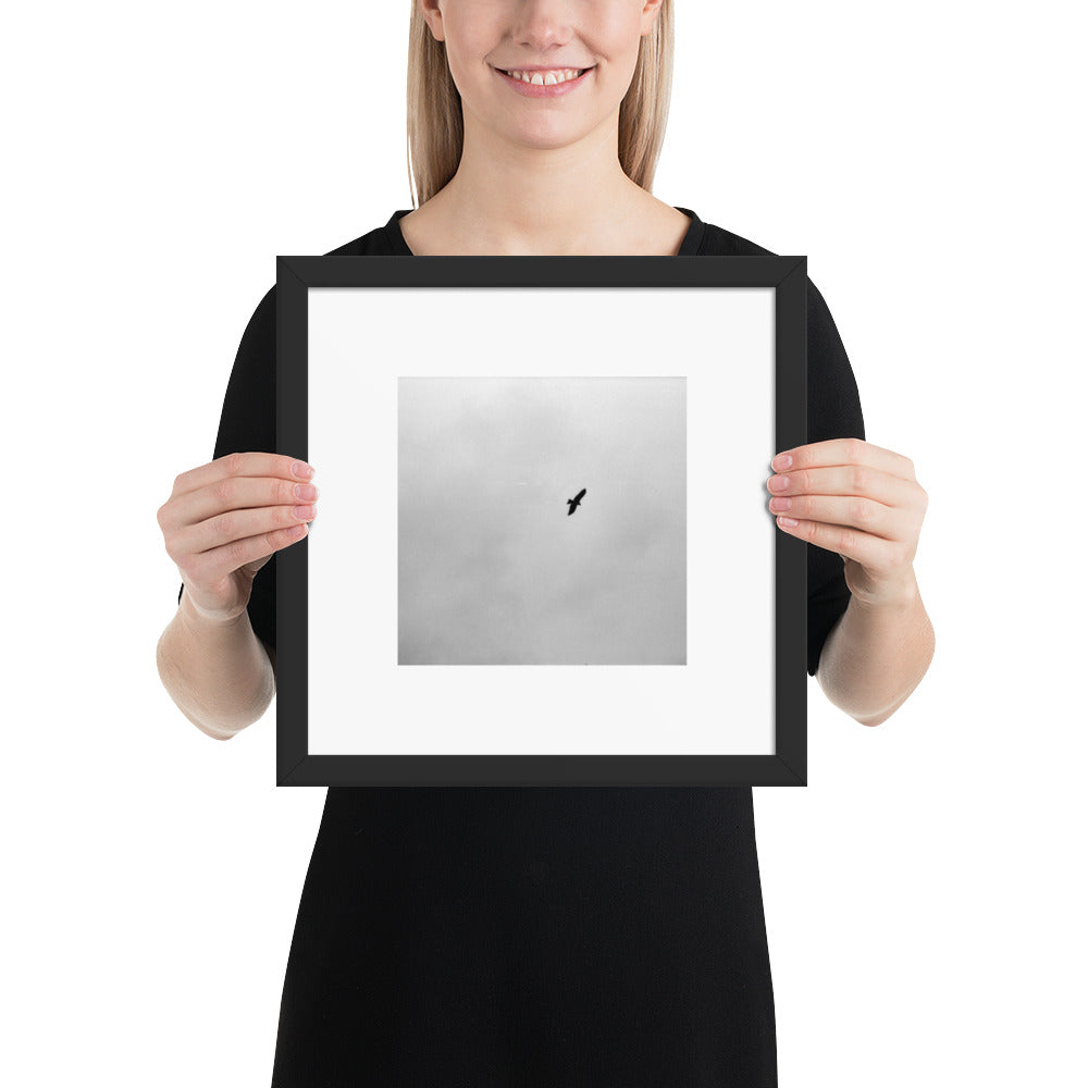 Minimalist streetwear style framed wall art in matte black, featuring a 'Bird and Sky (B&W)' photograph. / Bird and Sky (B&W) 額装ポスター（ブラックフレーム）：空を舞う鳥のシルエットをモノクロで捉えた、モードストリート系ミニマリスト・インテリアアート。