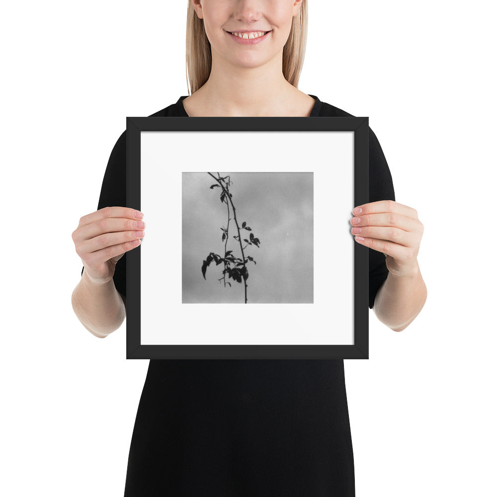 Minimalist streetwear style framed matte paper poster featuring the 'Tree Branches (B&W)' photo art. / モードストリート系フレーム付きマットペーパーポスター：「木の枝（モノクロ）」のフォトアートを配したデザイン。