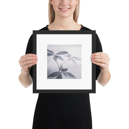 Minimalist art framed matte paper poster in black frame featuring the 'Botanical (B&W)' photo art. / フレーム付きマットペーパーポスター（ブラックフレーム）：「ボタニカル (モノクロ)」のフォトアートを配したミニマリストデザイン。