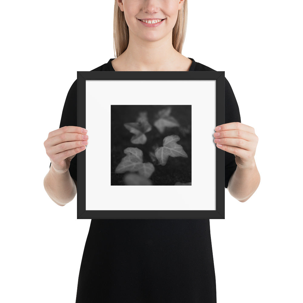 Minimalist streetwear style framed wall art in matte black, featuring an 'Ivy' B&W botanical photograph. / Ivy B&W 額装ポスター（ブラックフレーム）：モノクロのアイビー（ツタ）が際立つ、モードストリート系ミニマリスト・インテリアアート。