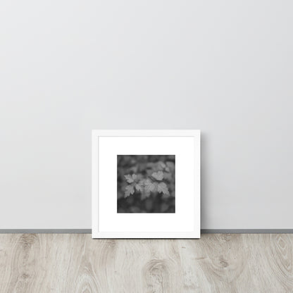 【White Frame】
Minimalist mode style framed matte paper poster with a 'plants' black and white botanical art print and a white frame / モードストリート系フレーム付きポスター（ホワイトフレーム）、「植物」のモノクロアートプリント（アートプリント）