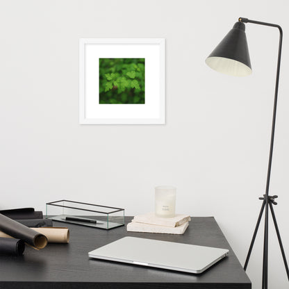 【White Frame】
Minimalist mode style framed matte paper poster with a 'plants' botanical art print and a white frame / モードストリート系フレーム付きポスター（ホワイトフレーム）、「植物」のアートプリント（インテリアポスター）
