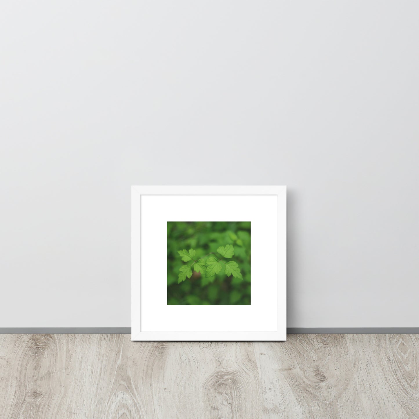 【White Frame】
Minimalist mode style framed matte paper poster with a 'plants' botanical art print and a white frame / モードストリート系フレーム付きポスター（ホワイトフレーム）、「植物」のアートプリント（インテリアポスター）