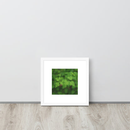 【White Frame】
Minimalist mode style framed matte paper poster with a 'plants' botanical art print and a white frame / モードストリート系フレーム付きポスター（ホワイトフレーム）、「植物」のアートプリント（インテリアポスター）