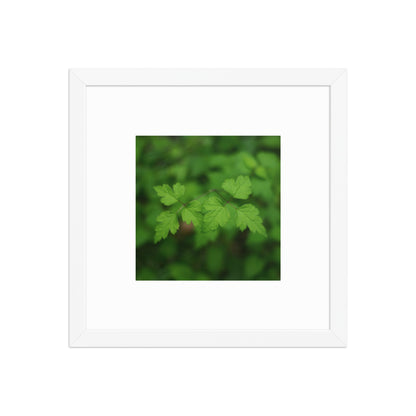 【White Frame】
Minimalist mode style framed matte paper poster with a 'plants' botanical art print and a white frame / モードストリート系フレーム付きポスター（ホワイトフレーム）、「植物」のアートプリント（インテリアポスター）