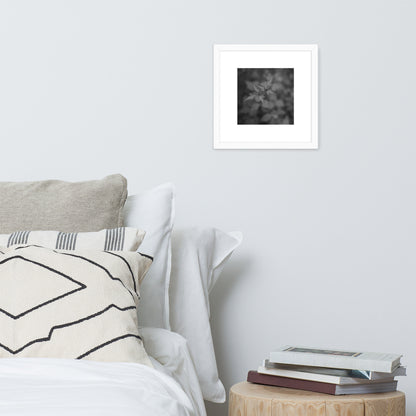 Botanical Plant B&W Art – Framed Matte Poster, White Frame, Front View
