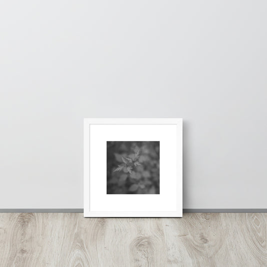 Botanical Plant B&W Art – Framed Matte Poster, White Frame, Front View
