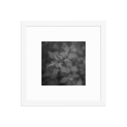Botanical Plant B&W Art – Framed Matte Poster, White Frame, Front View
