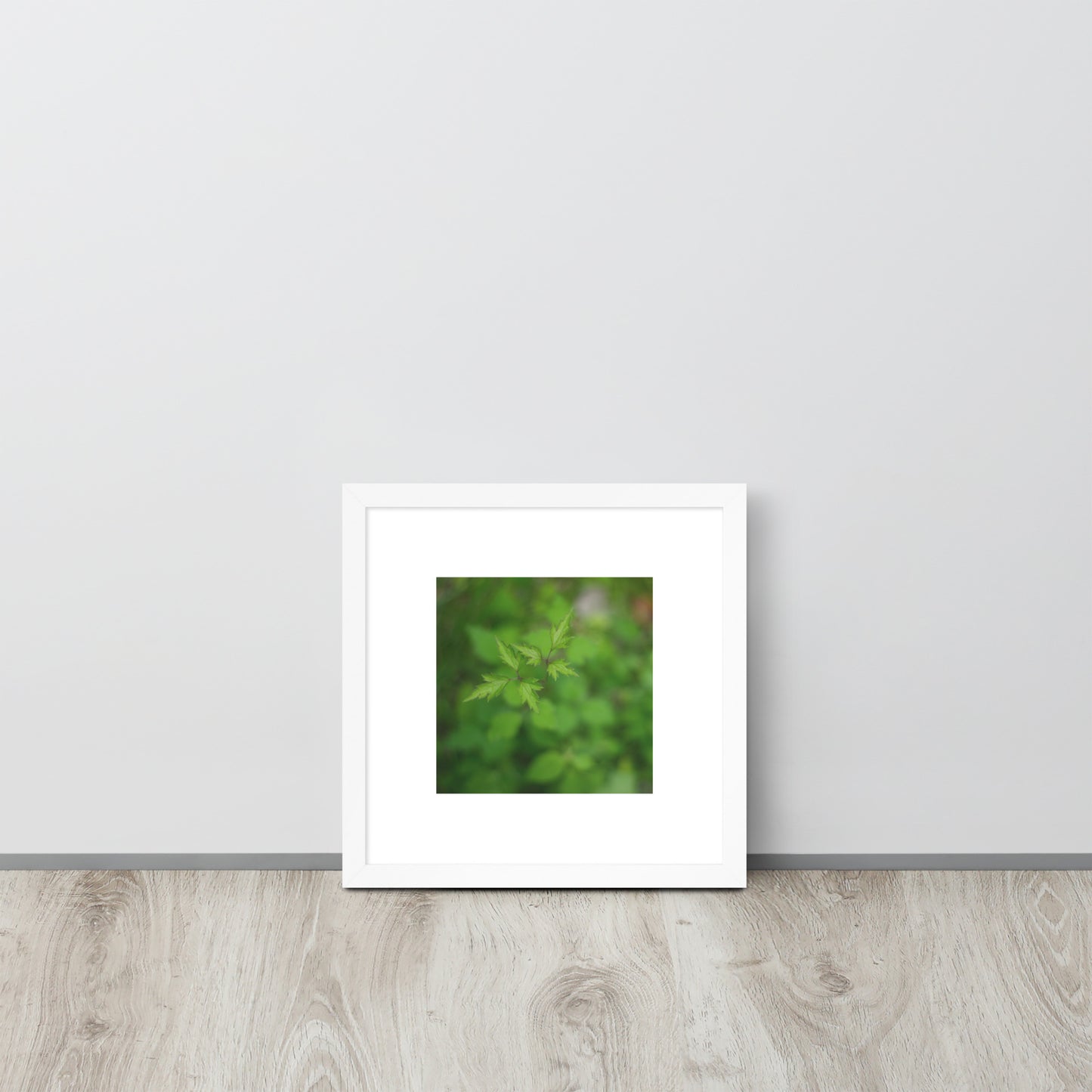 Botanical Plant Art – Framed Matte Poster, White Frame, Front View
