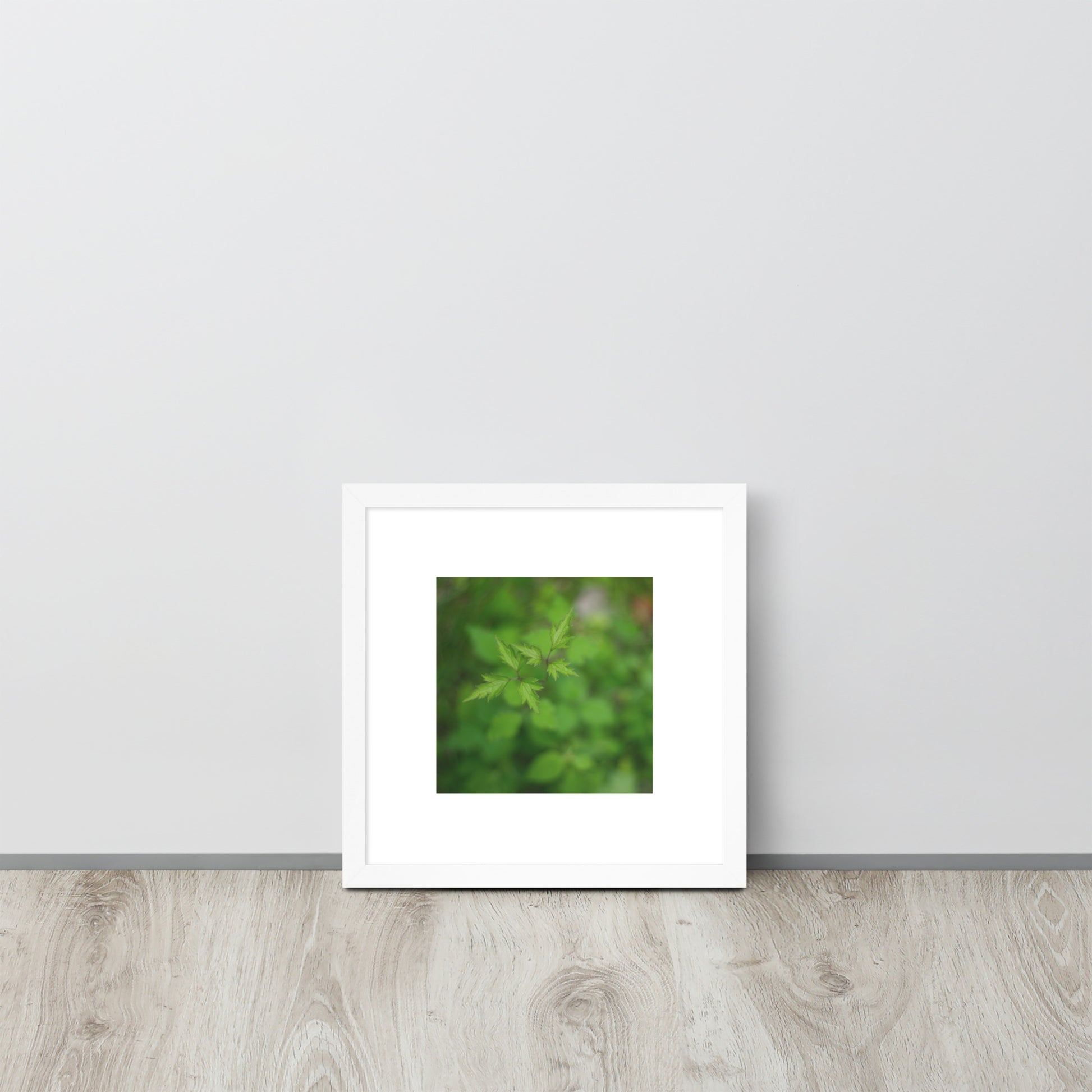 Botanical Plant Art – Framed Matte Poster, White Frame, Front View
