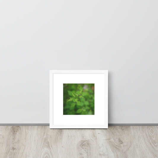 Botanical Plant Art – Framed Matte Poster, White Frame, Front View
