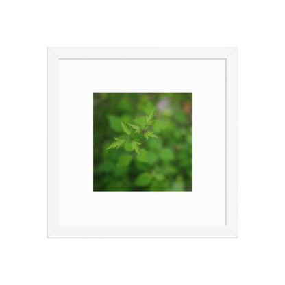 Botanical Plant Art – Framed Matte Poster, White Frame, Front View
