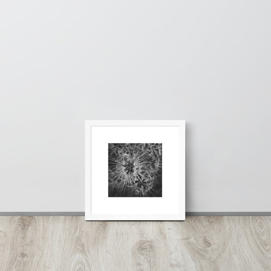 Red Spider Lily B&W Art – Framed Poster, White Frame, Front View