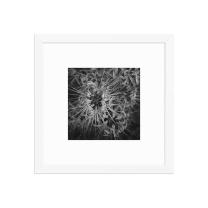 Red Spider Lily B&W Art – Framed Poster, White Frame, Front View