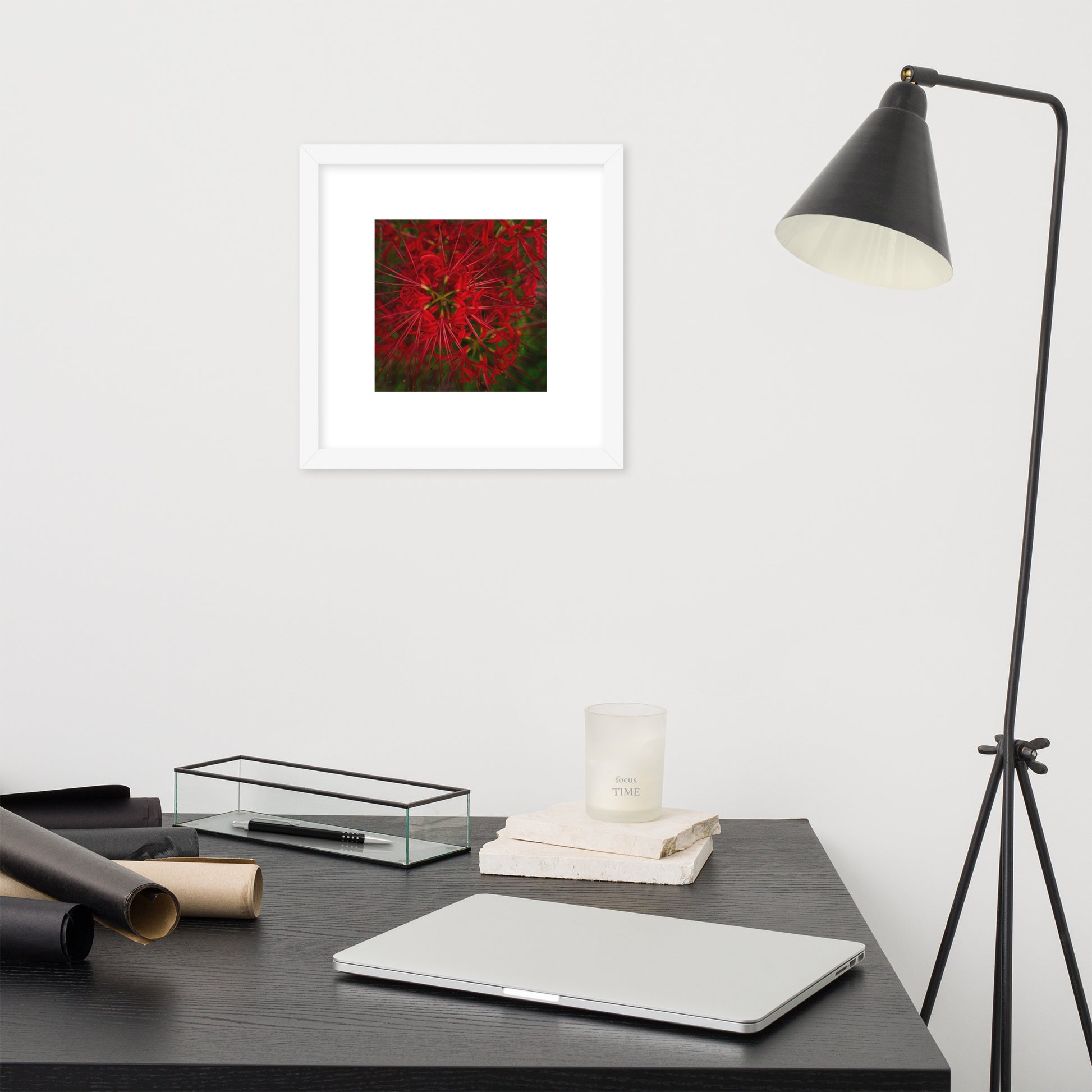 Red Spider Lily Botanical Art – Framed Poster 12x12, White Frame, Front View