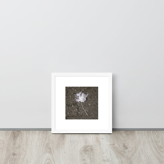 Maple Leaf Botanical B&W Art – Framed Matte Paper Poster, White Frame, Front View