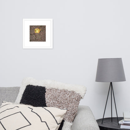 Maple Leaf Botanical Art – Framed Matte Paper Poster, White Frame, Front View