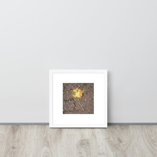 Maple Leaf Botanical Art – Framed Matte Paper Poster, White Frame, Front View