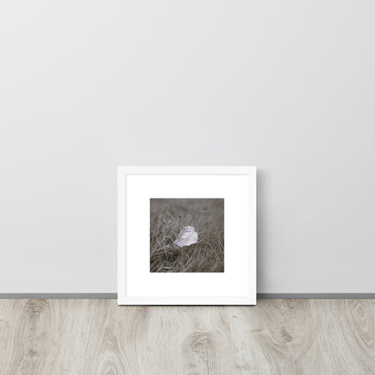 Yellow Fallen Leaf Botanical B&W Art – Framed Matte Paper Poster, White Frame, Front View