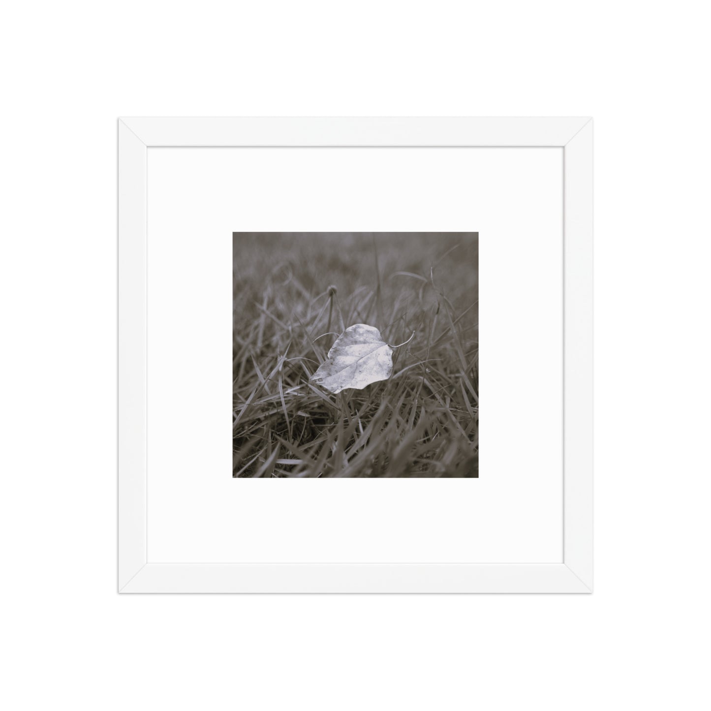 Yellow Fallen Leaf Botanical B&W Art – Framed Matte Paper Poster, White Frame, Front View