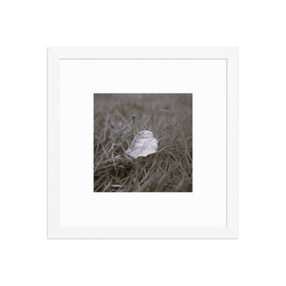 Yellow Fallen Leaf Botanical B&W Art – Framed Matte Paper Poster, White Frame, Front View