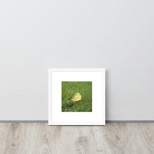 Yellow Fallen Leaf Botanical Art – Framed Matte Paper Poster, White Frame, Front View