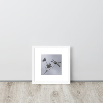 Three Cosmos Flowers Botanical B&W Art – Framed Matte Paper Poster, White Frame, Front View
