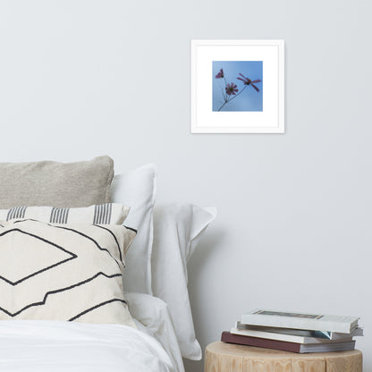 Three Cosmos Flowers Botanical Art – Framed Matte Paper Poster, White Frame, Front View