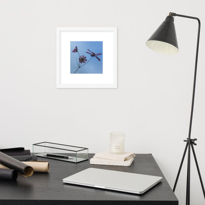 Three Cosmos Flowers Botanical Art – Framed Matte Paper Poster, White Frame, Front View